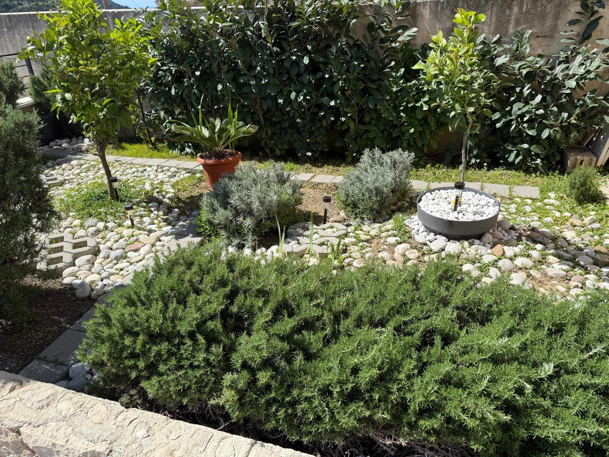 Lemon Tree Dubrovnik Apartments Exterior photo